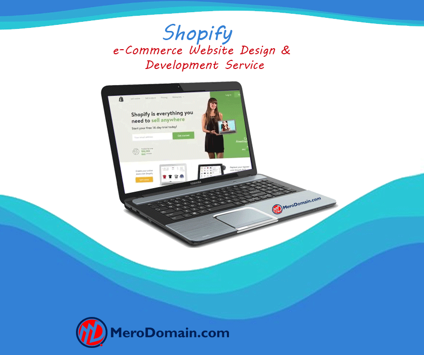 Shopify Website Design & Development Service