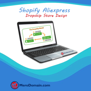 Shopify Aliexpress Dropship Store Design